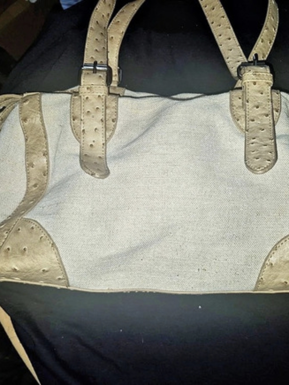 Mikrobi Canvas & Faux Leather Tote in Beige & Blue